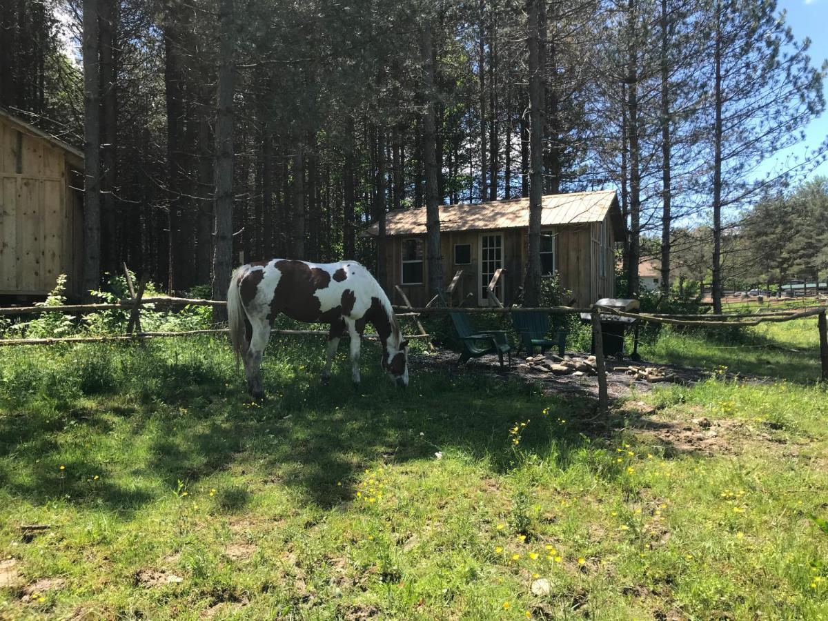 D & K Ranch “Max'S Cabin” Interlaken Exterior photo